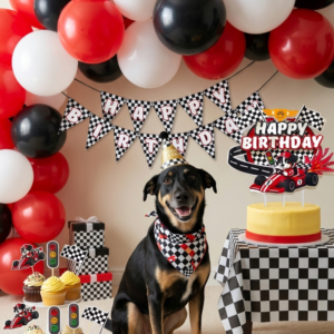Dog Birthday Party Kit - Race Car Theme - Decorations, Banner, Cake Topper, Hat - SMALL