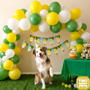 Paws & Play Dog Birthday Party Kit - SMALL | 2 Happy Pets