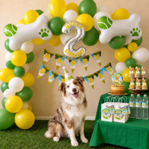 Paws & Play Dog Birthday Party Kit - MEDIUM | 2 Happy Pets